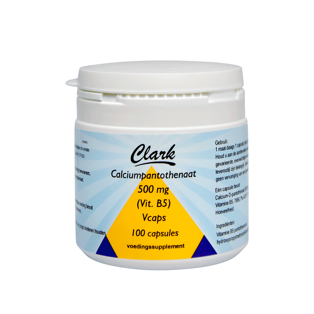 Afbeelding van Vitamin B5 500 mg - 100 capsules